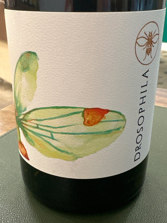 WW Drosophila Vino Blanco