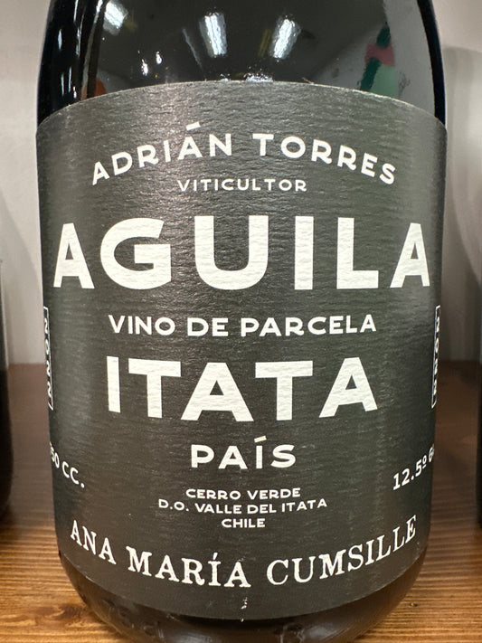 Ana Maria Cumsille Aguila Pais