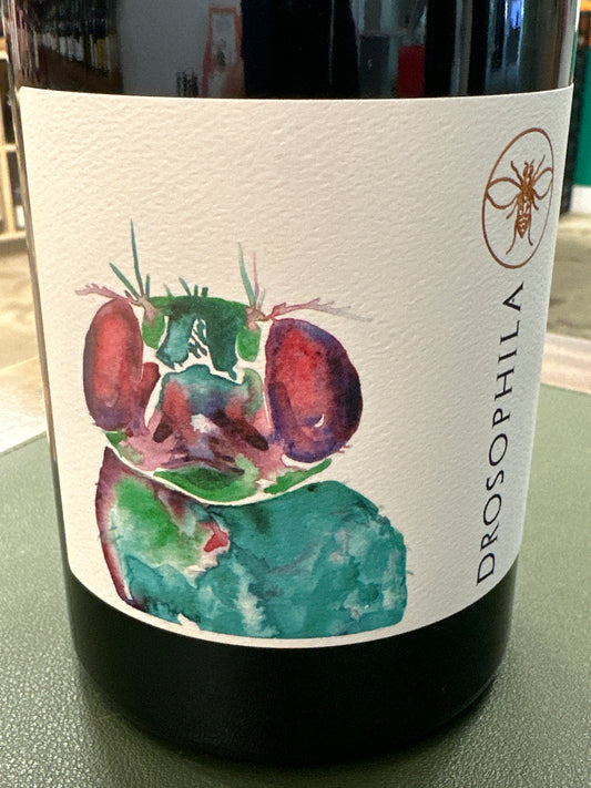 WR Drosophila Vino Tinto